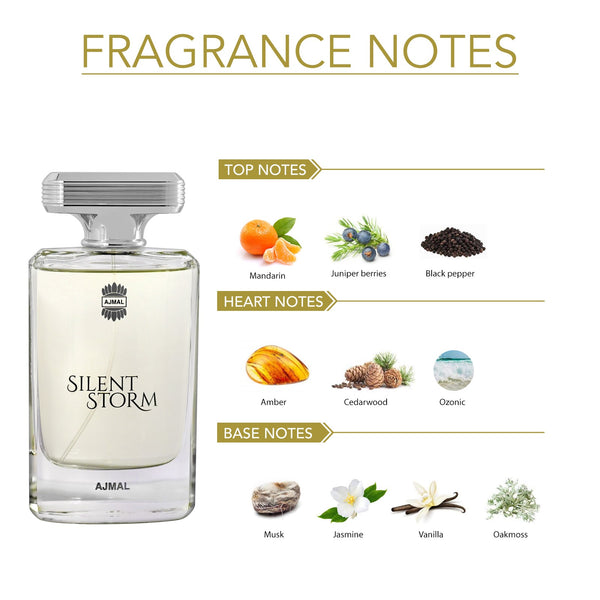 SILENT STORM Perfume 100ML for Men