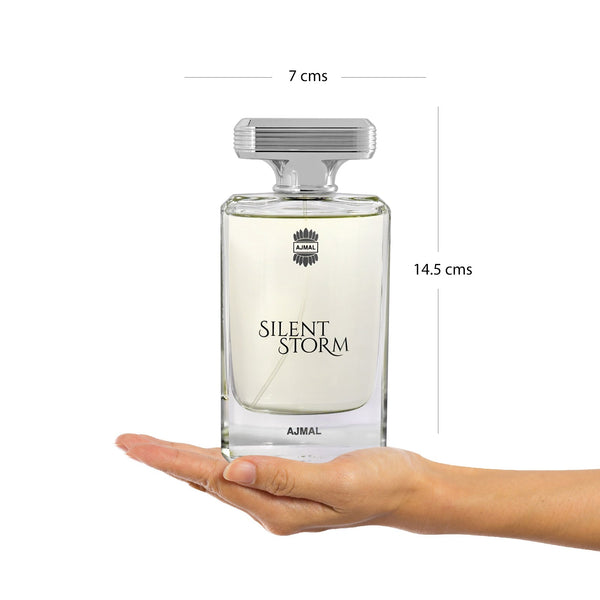 SILENT STORM Perfume 100ML for Men