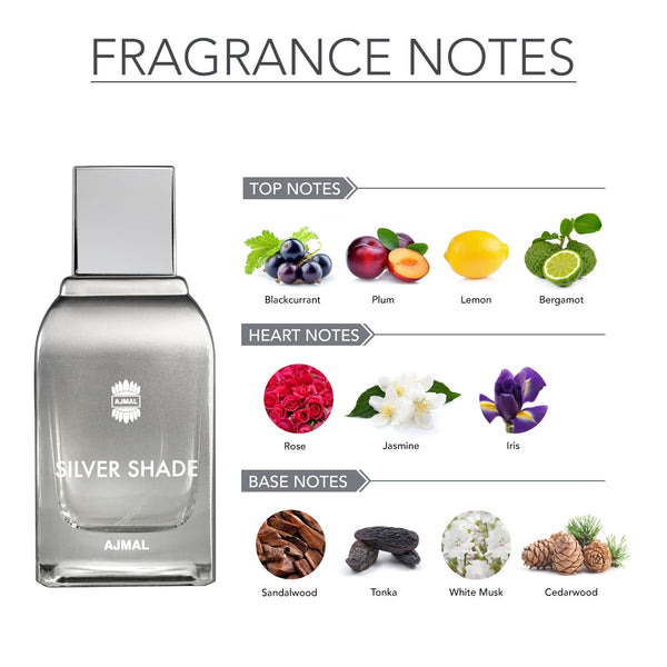 SILVER SHADE Perfume 100ML for Men